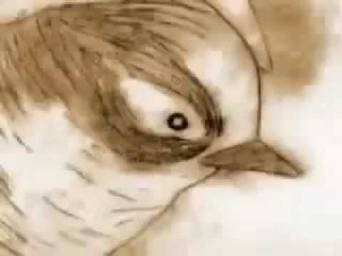 فى ناس بتحلم بالدهب والماس وناس يدوب يحلمو يعيشو