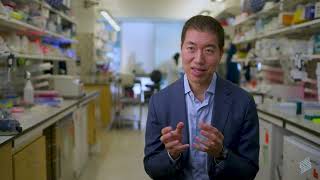 2025 Montrone-Seigel Prize in Biomedical Sciences