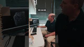 The differences between an X-ray, MRI and CT Scan, explained by Dr. Zooker.