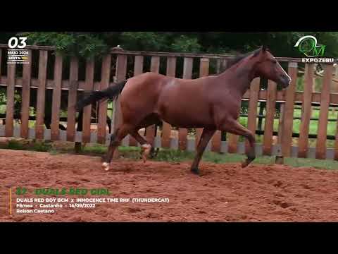 37   DUALS RED GIRL