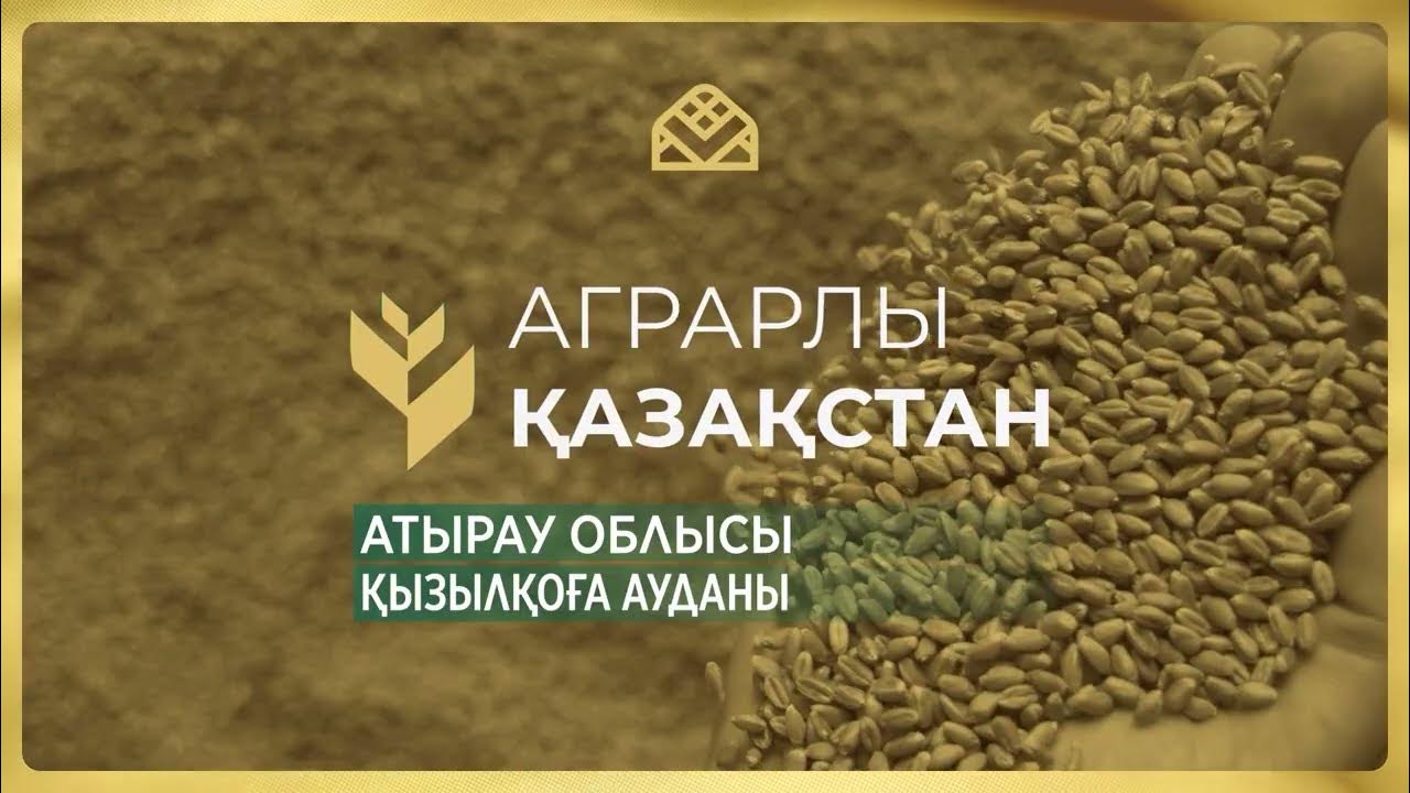 Желіде тартылған порно видеолар