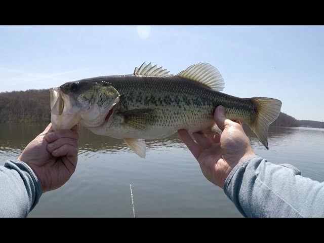 Guide to Fishing Lake Arthur in Pennsylvania 