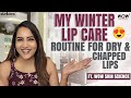 My Winter Lip Care Routine for Dry &amp; Chapped Lips ft. WOW Skin Science || Its Himaja || Strikers
