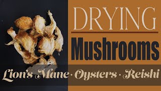 Drying Mushrooms