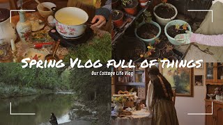 Spring Vlog Full of Things | Cozy and Slow life |