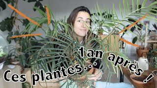 J'ai tué presque toutes ces plantes...