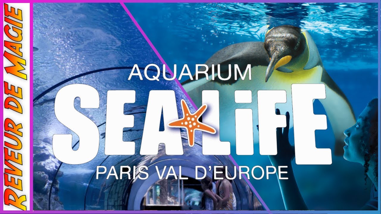 Découverte de l’Aquarium Sea Life Paris Val d’Europe à 5 km de ...