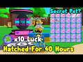 I Hatched 700M Egg With x10 Luck For 40 Hours Then I Got These Pets! Part 4 - Bubble Gum Simulator