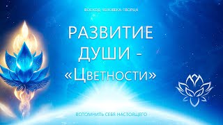 Этапы Развития Души - 