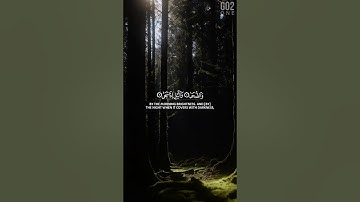 سورة الضحى | تلاوة هادئة للشيخ ياسر الدوسري #الشيخ_ياسر_الدوسري #قرآن