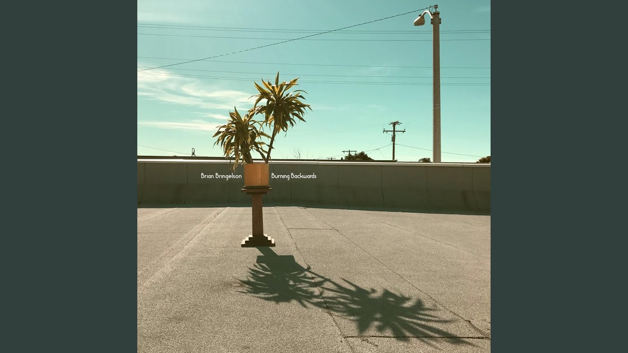 Watch Cut Down by Light on YouTube Watch Cut Down by Light on YouTube