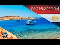 Рас-Мохаммед | Морская прогулка на Белый остров | Шарм Эль Шейх | Египет 2021