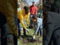 Restoring Chicago: Neighbors Team Up to Revitalize Local Green Space #usa #america #restoration