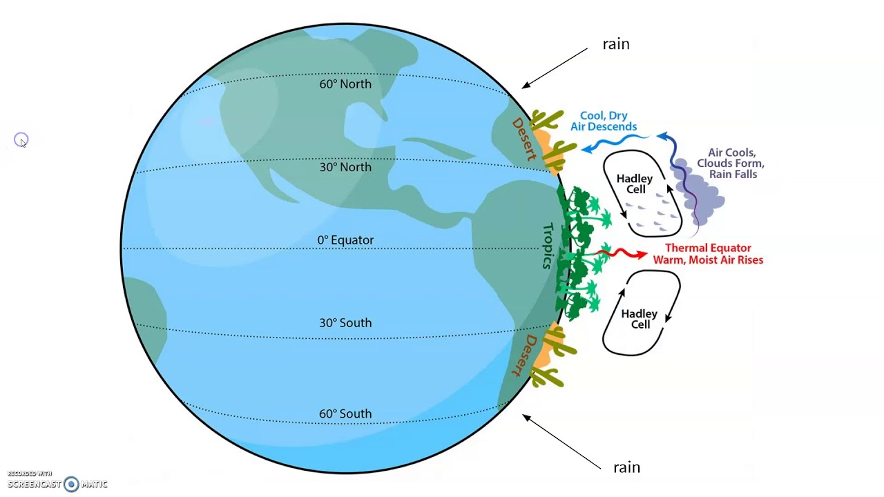 Global Wind Patterns Worksheet