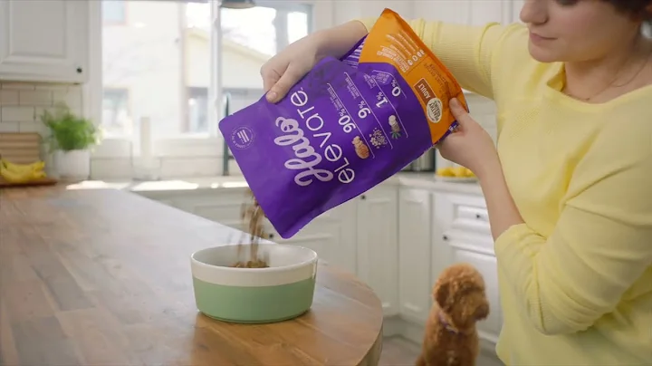 Halo Elevate Dog Food 2022 - DayDayNews