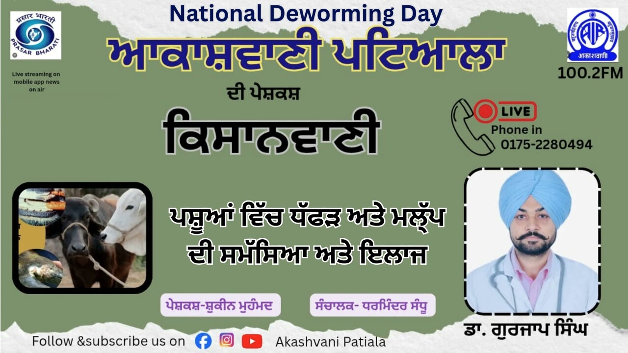 ਪਸ਼ੂਆਂ ਵਿੱਚ ਧੱਫੜ ਅਤੇ ਮਲ੍ੱਪ ਦਾ ਪੱਕਾ ਇਲਾਜ! ਅਪਣਾਓ ਇਹ ਦੇਸੀ ਤੇ ਡਾਕਟਰੀ ਨੁਸਖੇ | Akashvani Patiala | 100.2