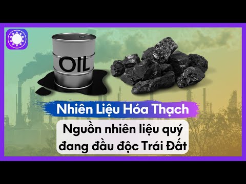 Video: Một số từ nhiên liệu hóa thạch là gì?