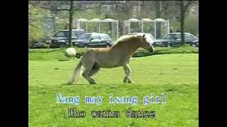 Download Lagu Boracay Baby by Carlos Agassi - Karaoke MP3 Download Lagu Boracay Baby by Carlos Agassi - Karaoke MP3