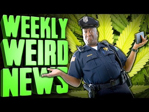 woops!-did-3-states-accidentally-legalize-it?---weekly-weird-news