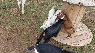 2026 04 24   Kid Games