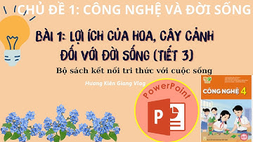 Bài giảng điện tử Bài 1: Lợi ích của hoa và cây cảnh đối với đời sống (tiết 3) | Công Nghệ 4 KNTTVCS