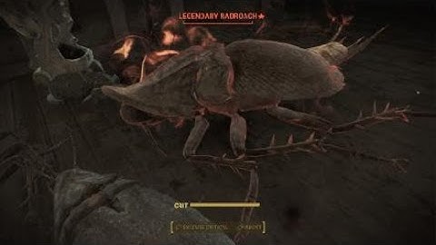 Fallout 4 Legendary radroach