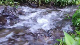 Sound of River Flowing in Mountain. Relaxing Nature Sounds. Flowing Water, White Noise for Sleeping