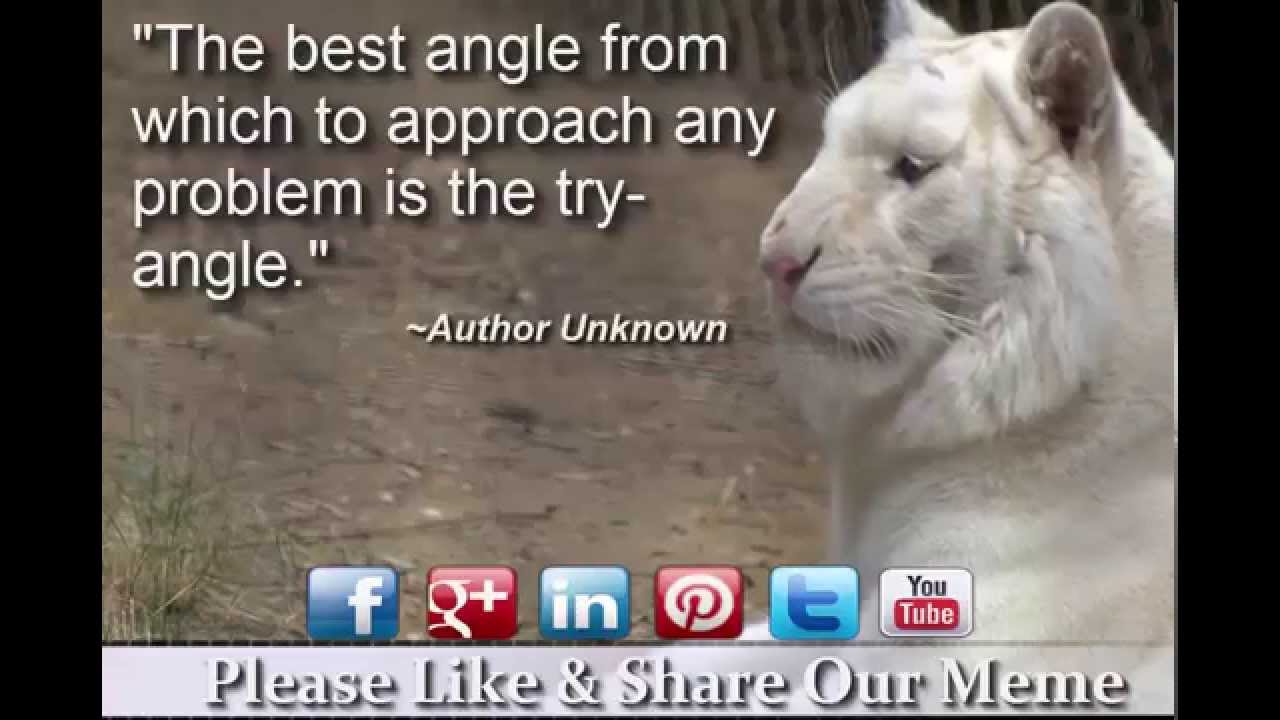 The best angle from which to approach any problem - YouTube