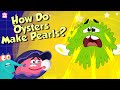 Understanding Pearls and Oysters