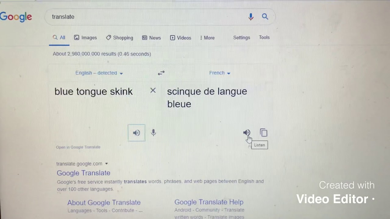 Blue tongue skink French google translate meme YouTube