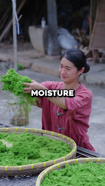 You've Been Using This Algae Everyday 🤯