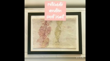 SCIENCE- Art integration ideas