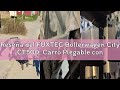 Reseña del FUXTEC Bollerwagen City CT500, Carro Plegable con Techo UV, con Doble Freno Delantero.- A