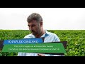 Юрій Дробязко - Про ситуацію на аграрному ринку та підхід до вирощування основних культур