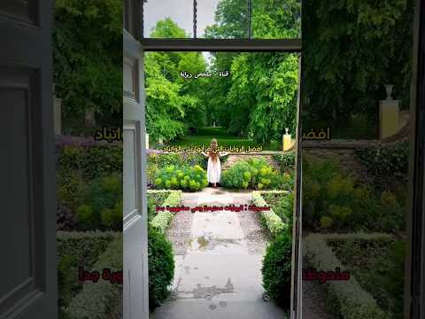 كانت هذه الروايات بداية دخولي لهذا العالم اتمنى ان تعجبكم لايك ومتابعة لدعم قناتي الصغيرة