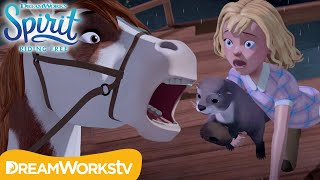 Saving Abigail | SPIRIT RIDING FREE | Netflix