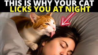 If Your Cat Licks You While You Sleep, Theyre Trying to Tell You This...