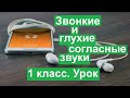 Урок. Звонкие и глухие согласные звуки.  1 класс.