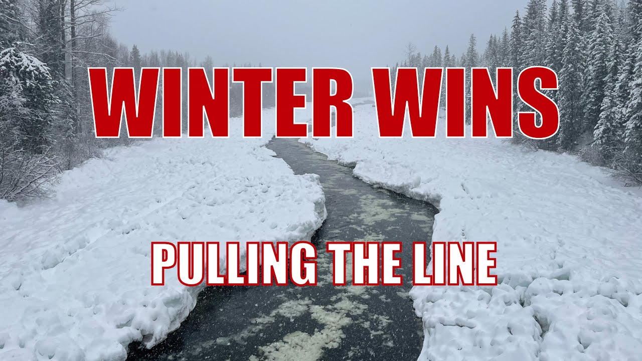 Pulling a Snowed-In Trapline Before It's Too Late