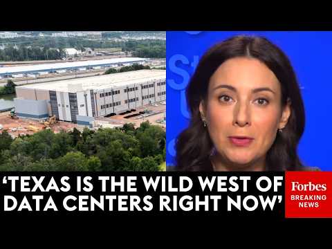 'People Are Really Concerned': Gina Hinojosa Defends Position To Stop New Data Center Construction