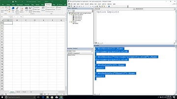 Excel Visual Basic Editor - Excel Object Model - Name Property on Workbook and Worksheet Objects