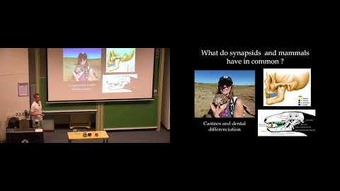 Reptile to Mammal 01 Julien Benoit