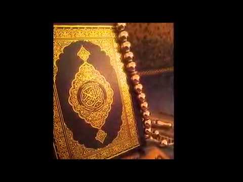 عشنا سنينا والكتاب رفيقنا