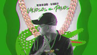 VALIOSOS PANOS  - MC RN DO CAPÃO E DJ DAVID LP (VISUALIZER)