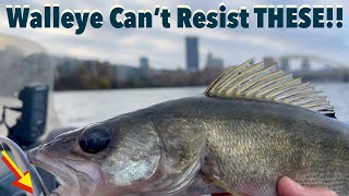 Allegheny River Walleye, Sauger & Smallmth Fall