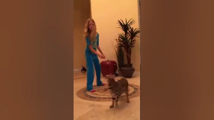 Morgan, the cat whisperer!