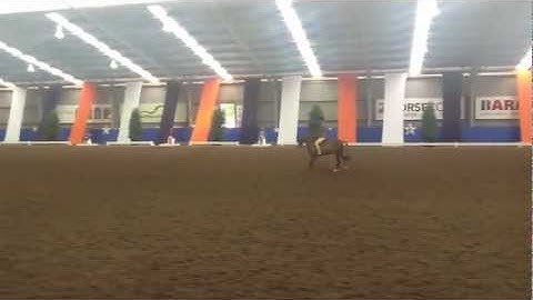 Fencourt Just A Rascal - EA Nationals