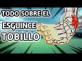 TODO SOBRE EL ESGUINCE DE TOBILLO. Ejercicios, Rehabilitación, Fisioterapia, Readaptación.