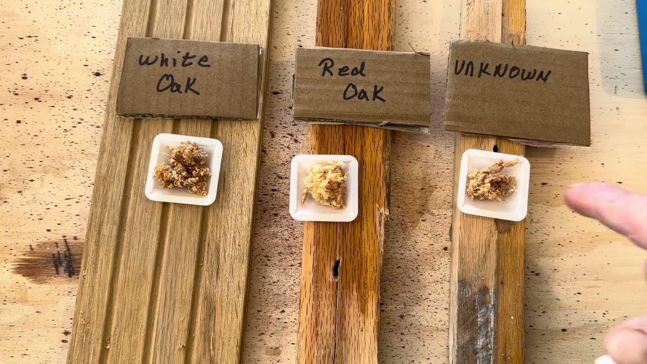 How to tell the difference between red and white oak