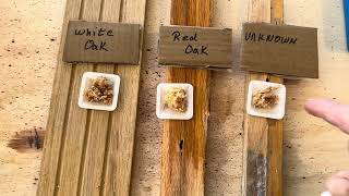 How to tell the difference between red and white oak